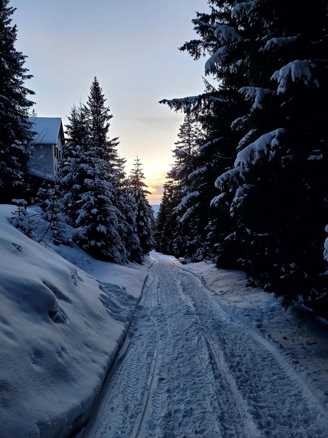 A snow-covered forest track between spruce trees at dusk near Rovaniemi, with a pale orange sunset low behind the treeline